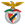 Benfica Castelo Branco