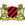 Mickleover Sports