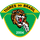 Tigres do Brasil