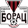 Borac Šajkaš