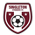 Singleton Strikers