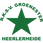 Groene Ster