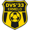 DVS 33 Ermelo