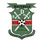 BDF XI