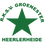 Groene Ster