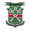 BDF XI