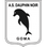 Dauphins Noirs