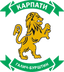 Karpaty Halych