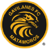 Gavilanes FC Matamoros
