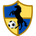 Racing United