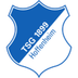 Hoffenheim U19