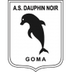 Dauphins Noirs
