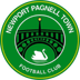 Newport Pagnell Town