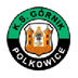 Górnik Polkowice