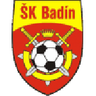 Badín logo