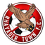 Rhayader Town