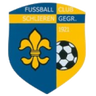 Schlieren W logo