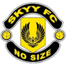 Skyy logo