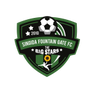 Singida Black Stars logo