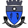 Darvel logo