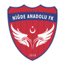 Niğde Anadolu logo