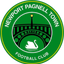 Newport Pagnell Town