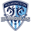 Wilmington Hammerheads