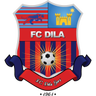 Dila logo