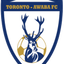 Toronto Awaba Stags