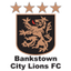 Bankstown City Lions
