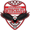 Muscelul Câmpulung Elite logo