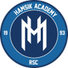 Hamsik Academy logo