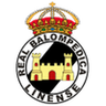 Linense logo
