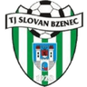 Bzenec logo