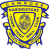 Basingstoke Town logo