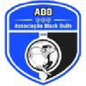 Black Bulls Maputo logo