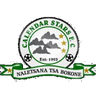 Calendar logo