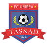 Unirea Tășnad logo