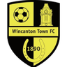 Wincanton Town logo