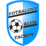 Tachov logo