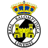 Linense logo