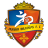 Hunan Billows FC logo