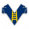 Verona U19 logo