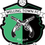 Welling Town