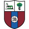 Derio logo