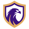 Falcon U17 logo