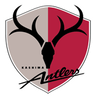 Kashima logo