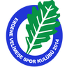 Ergene Velimeşespor logo