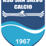 Salvo logo