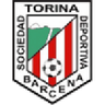 Torina logo
